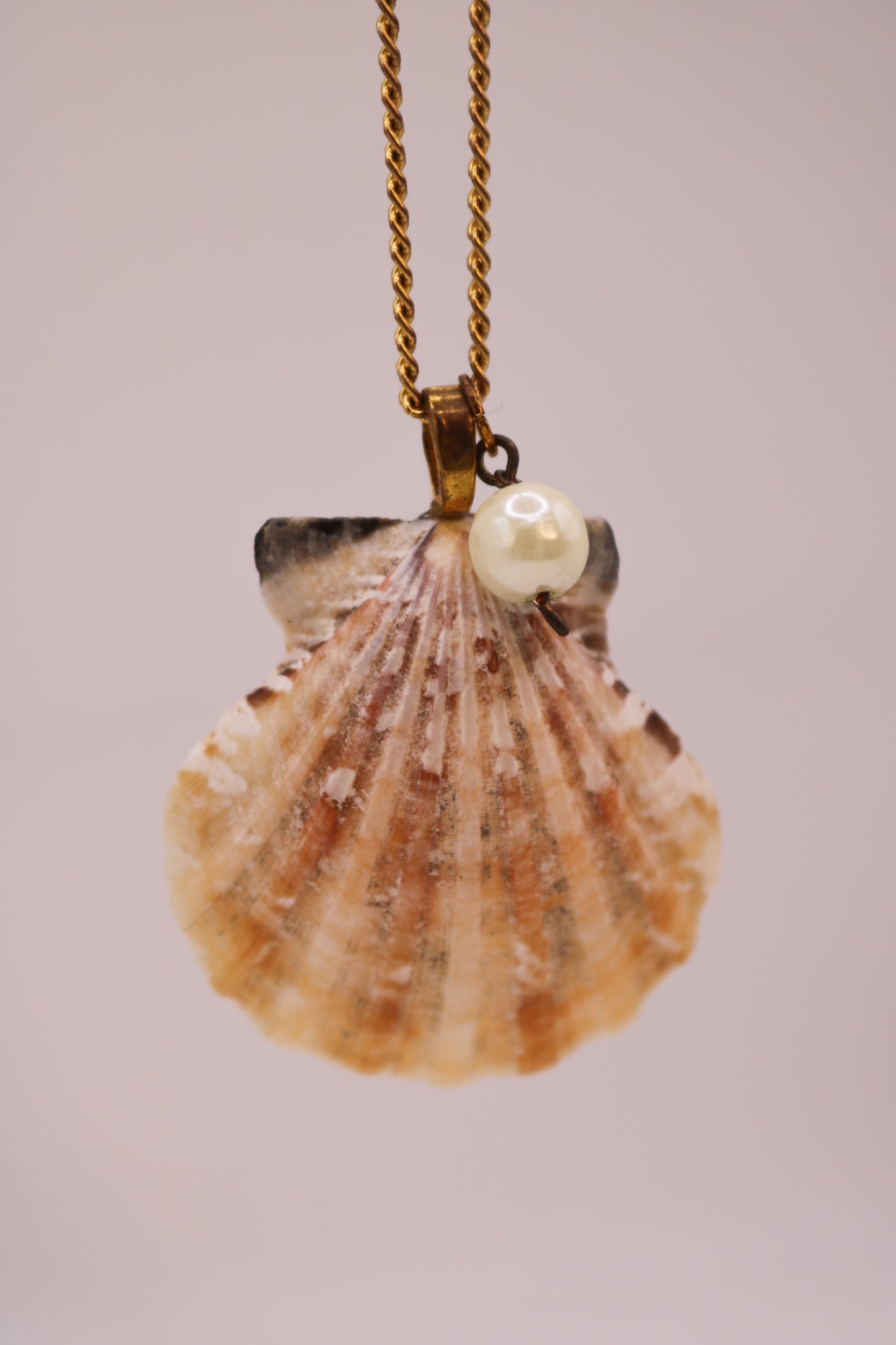 Gold Chain Necklace with Real Shell & Pearl Charm