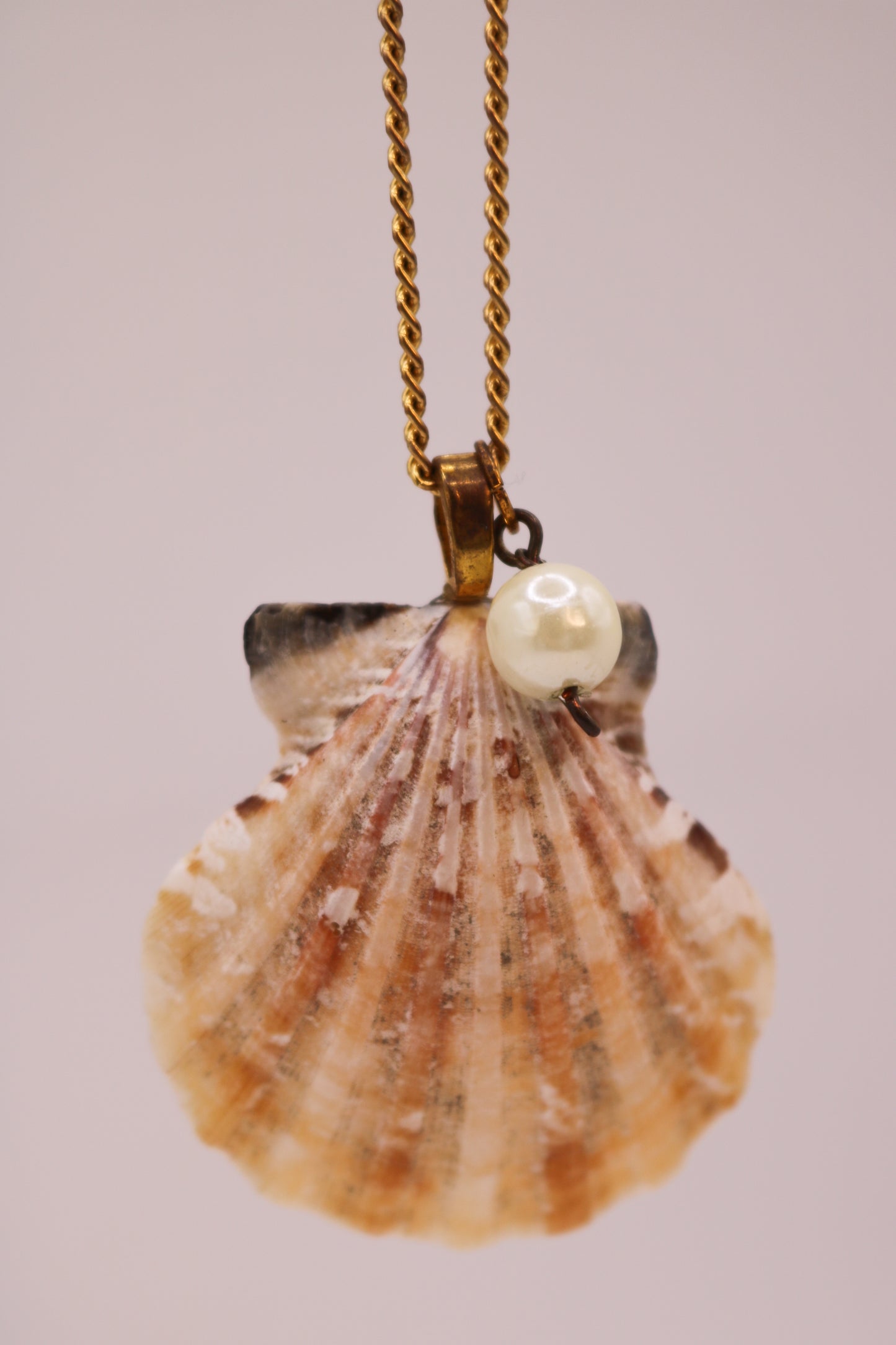 Gold Chain Necklace with Real Shell & Pearl Charm