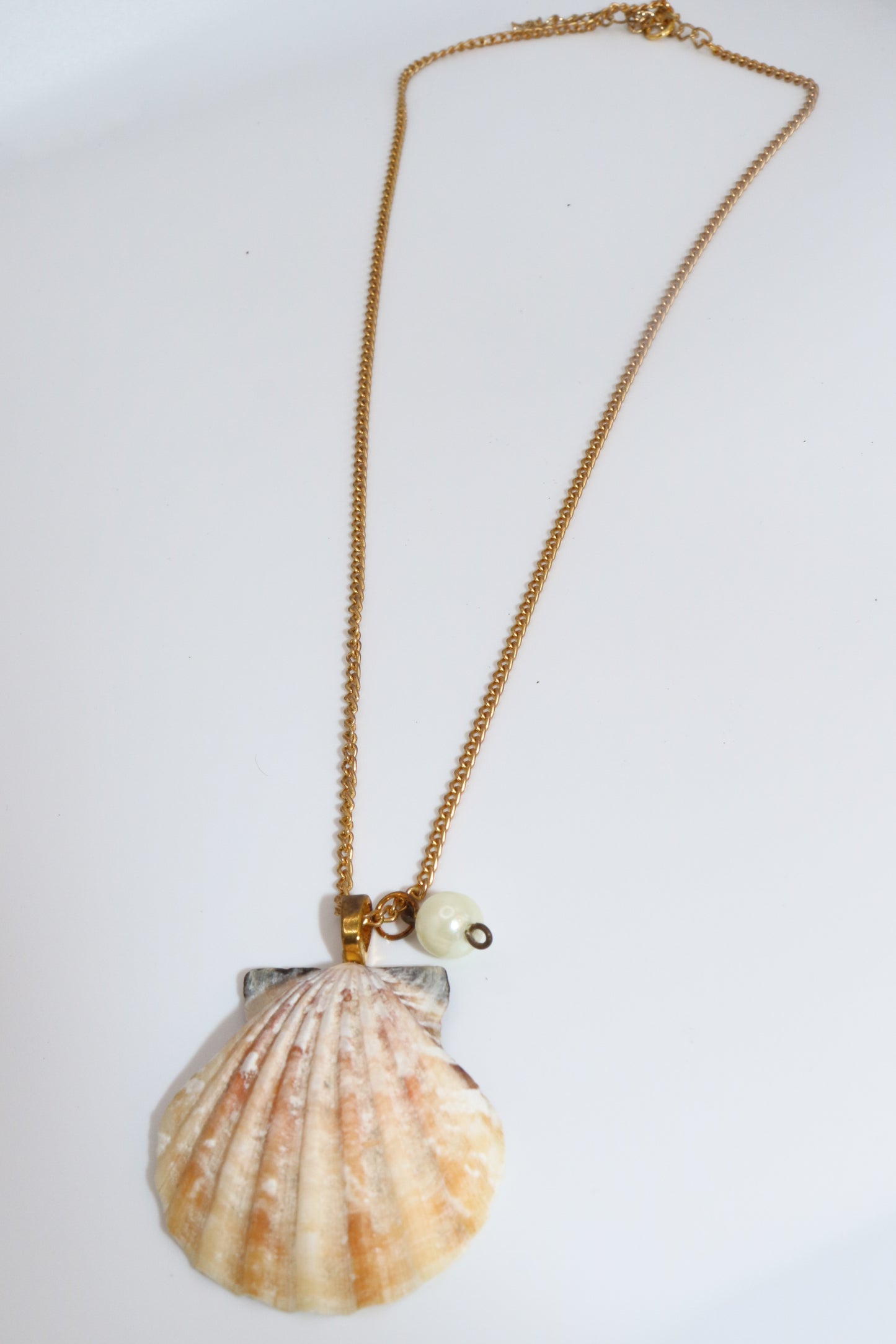 Gold Chain Necklace with Real Shell & Pearl Charm