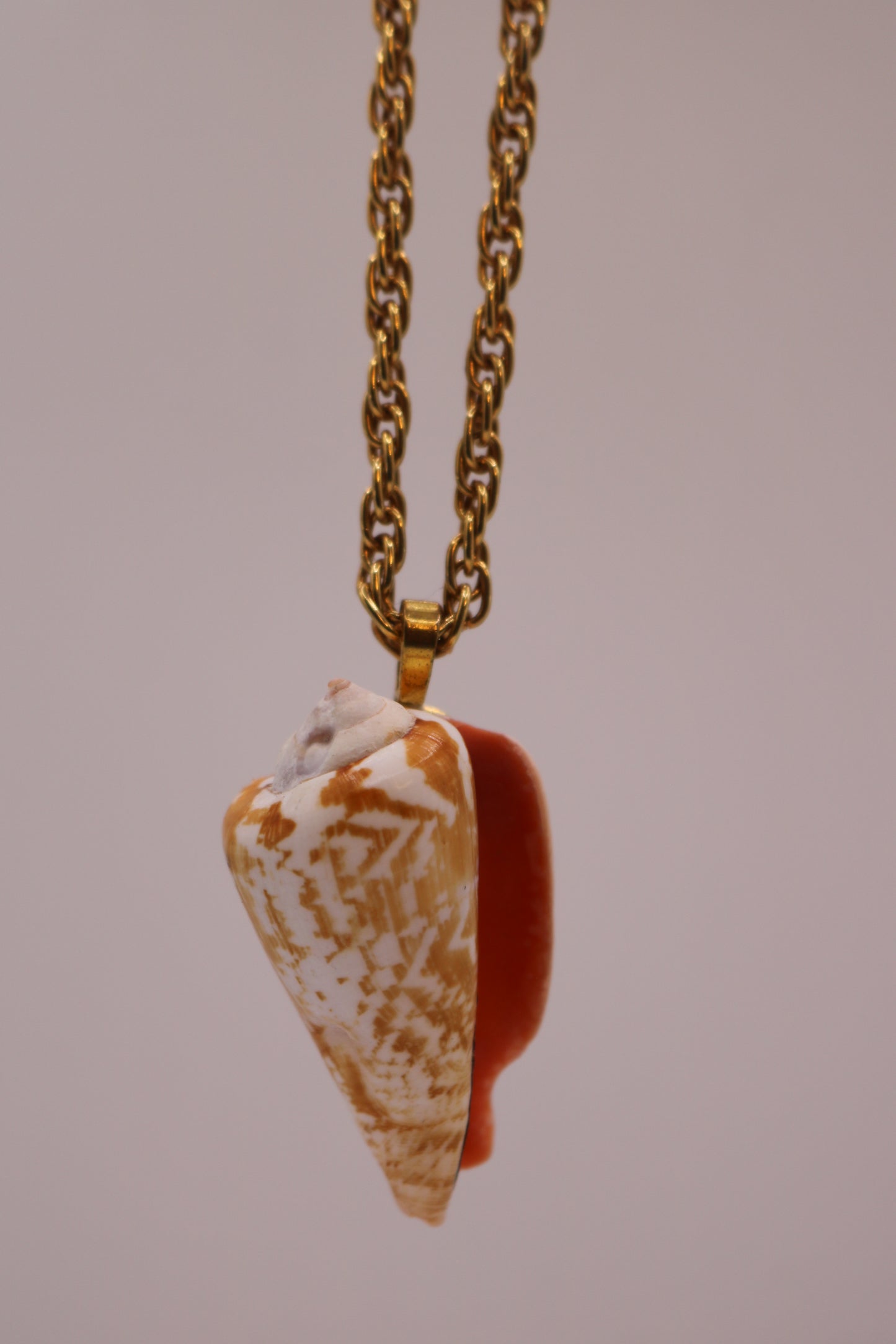 Golden Hour Shell Pendant Necklace