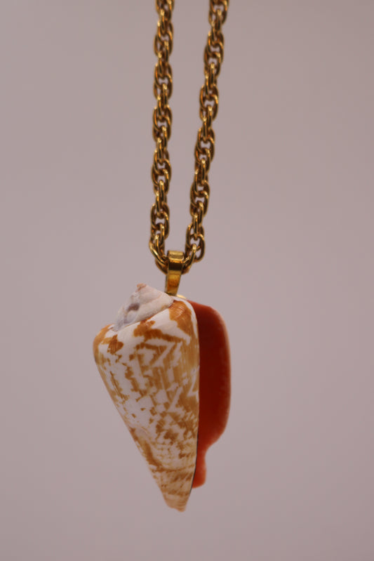Golden Hour Shell Pendant Necklace